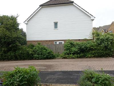Picture 13